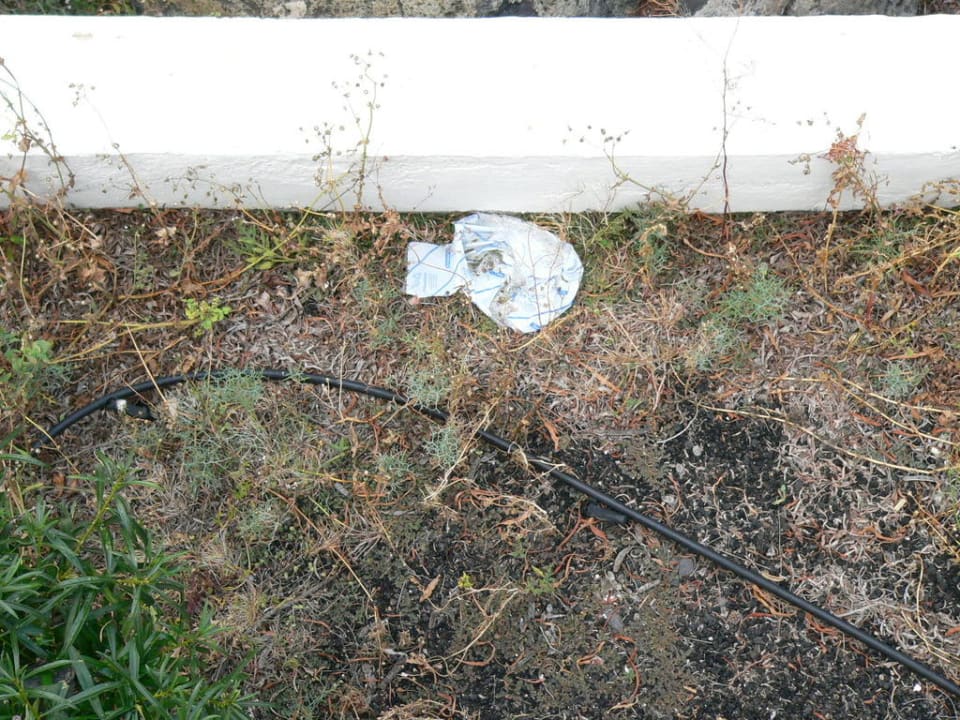 Ungepflegte Außenanlage Club Jandia Princess