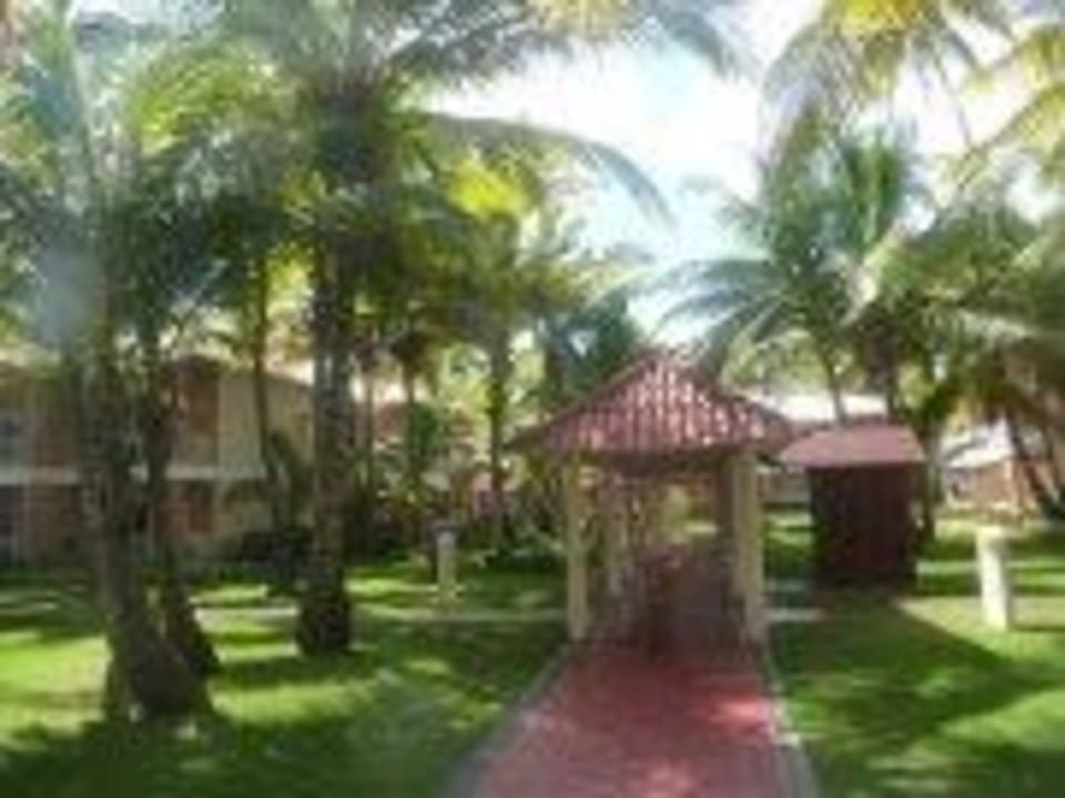 Weg vom Strand zu den Zimmern Hotel Grand Palladium Palace Resort, Spa & Casino