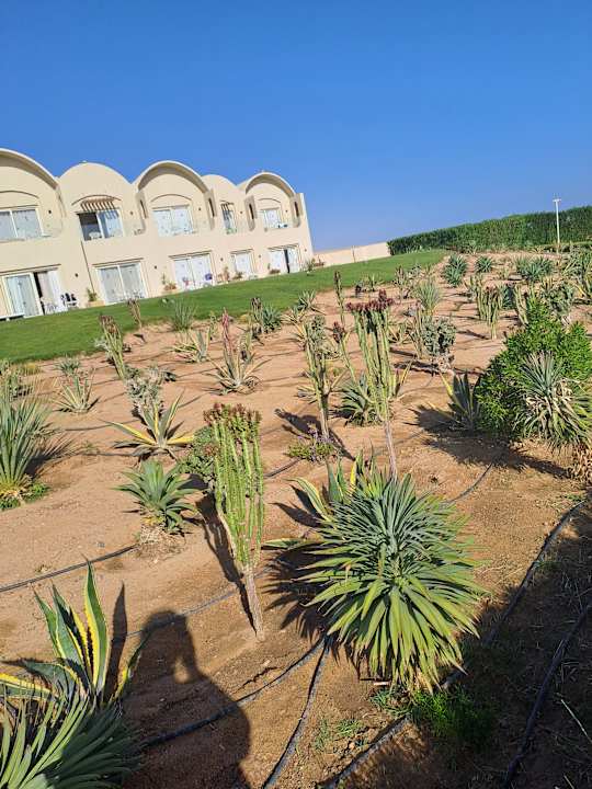 Gartenanlage SUNRISE Anjum Resort Marsa Alam