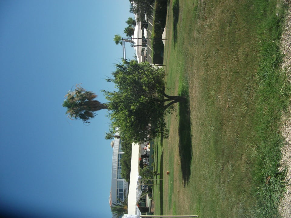 Bepflanzung Asteria Family Resort Side
