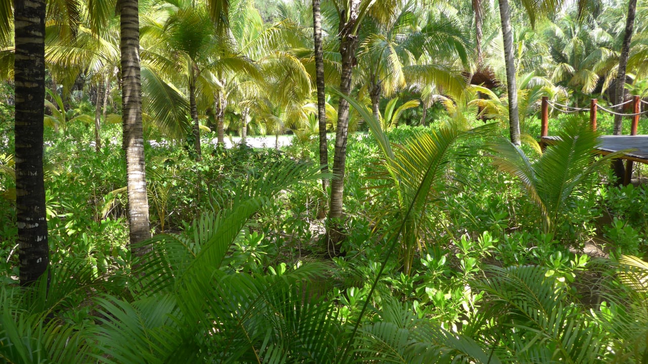 Ausblick Akumal Bay Beach & Wellness Resort