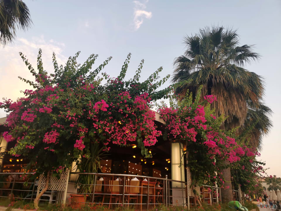 Gastro VONRESORT Golden Beach