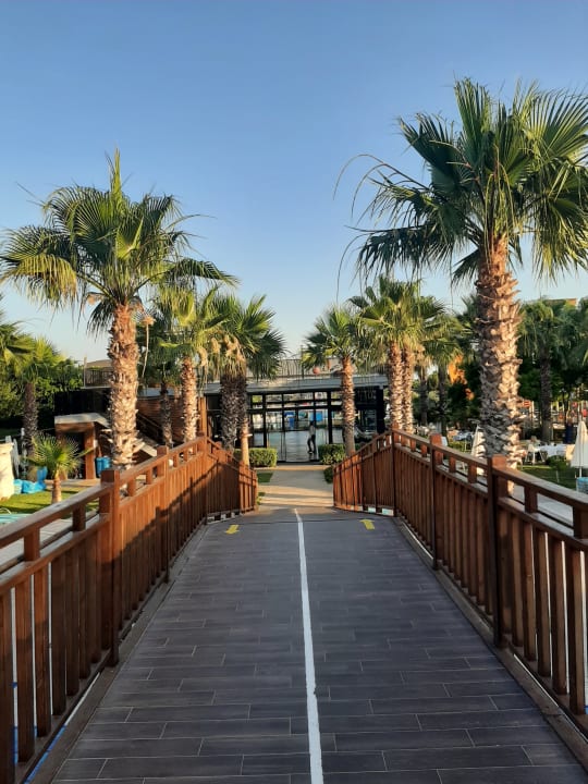 Sonstiges Saturn Palace Resort Hotel