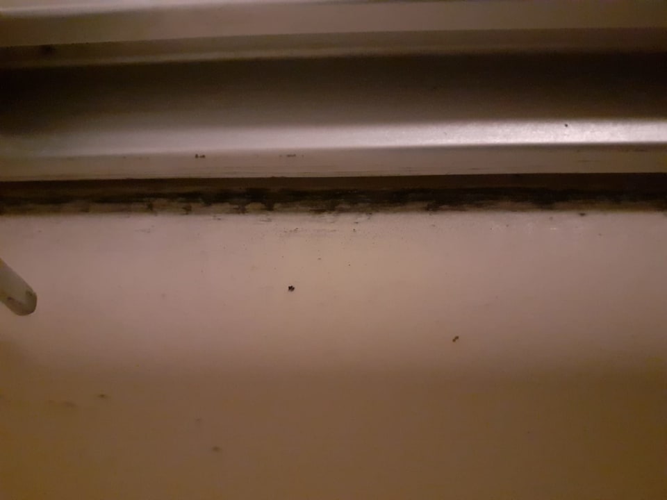 Zimmer Hotel Boulevard