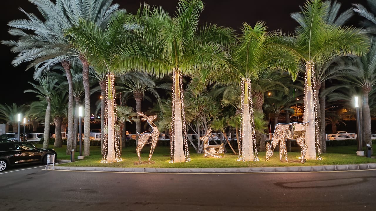 Gartenanlage Hotel Riu Palace Meloneras