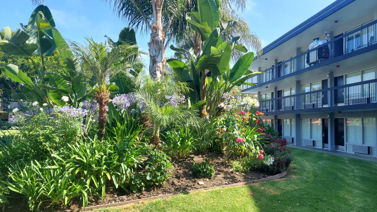 Gartenanlage Palm Garden Hotel