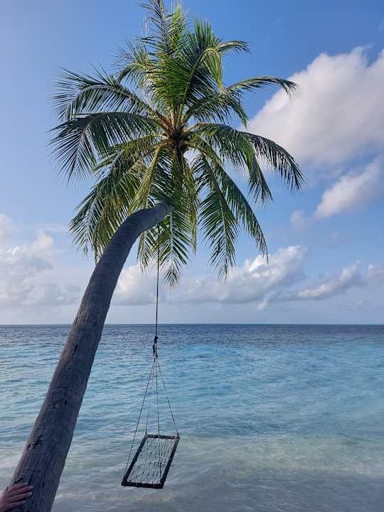 Außenansicht Vilamendhoo Island Resort & Spa