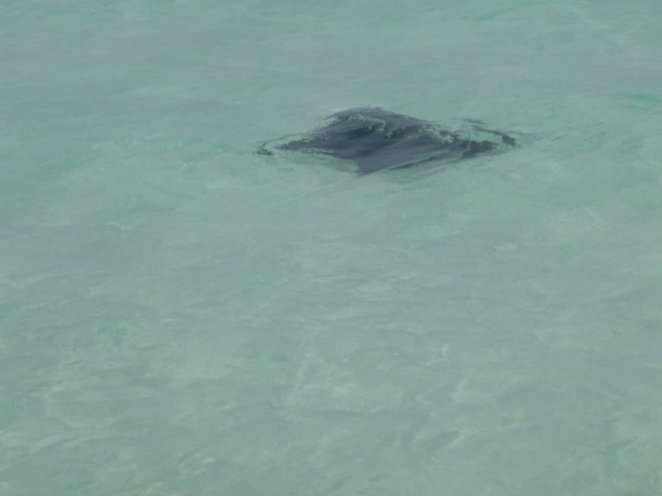 Stingray Kuredu Island Resort & Spa