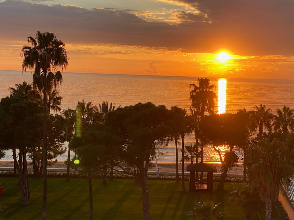 Ausblick Acanthus Cennet Barut Collection