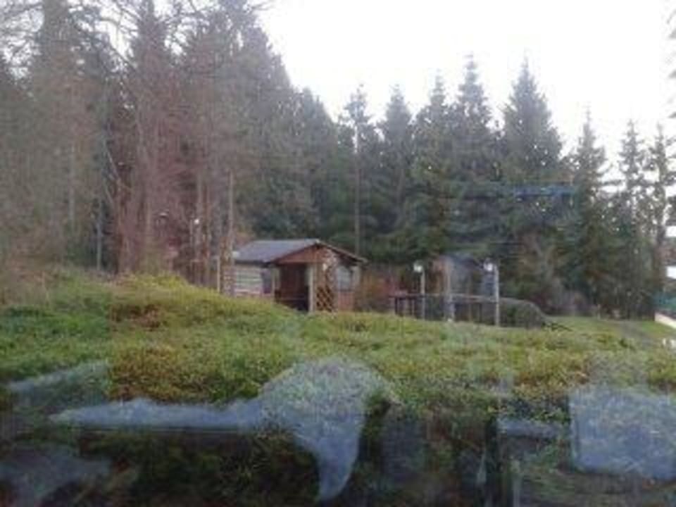 Blick vom Indoor-Pool Fletcher Hotel-Restaurant Arnsberg-Sauerland