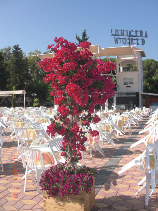 Bühne Lonicera Resort & Spa Hotel