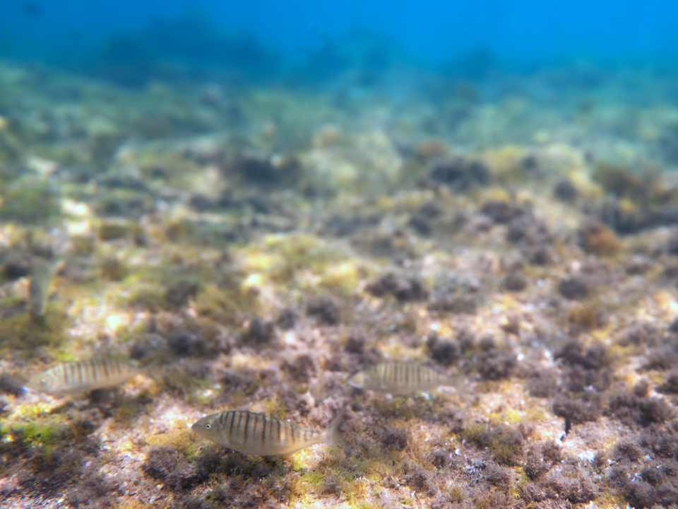 Sonstiges Olympos Beach Hotel