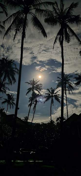 Gartenanlage Bali Villa Dive Resort