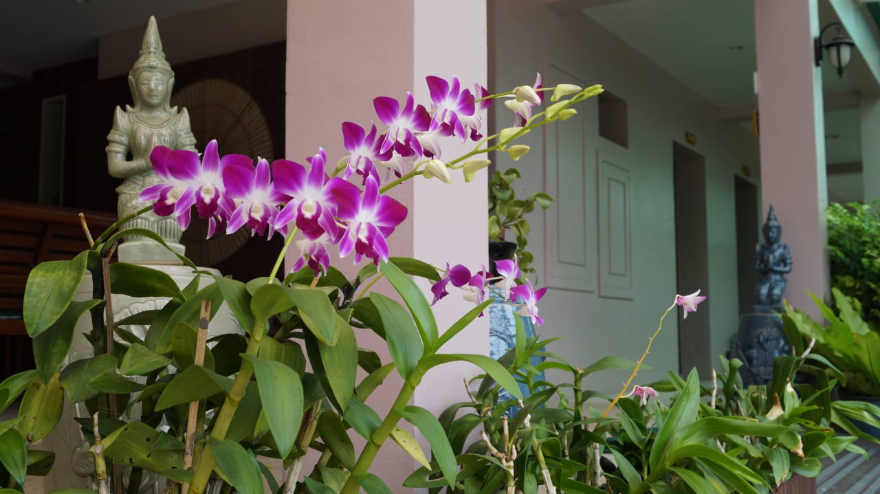 Welcome Fanari Khaolak Resort