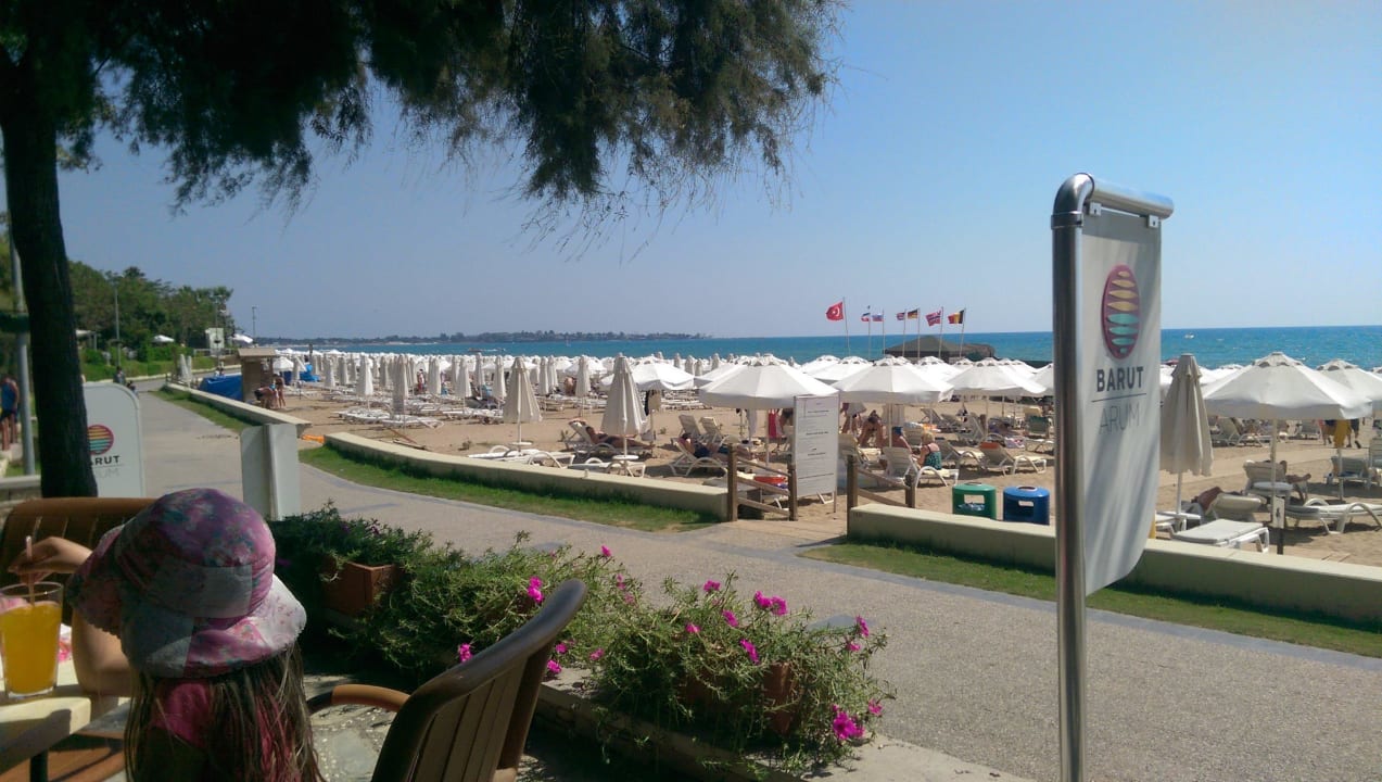 Bester Ausblick Arum Barut Collection