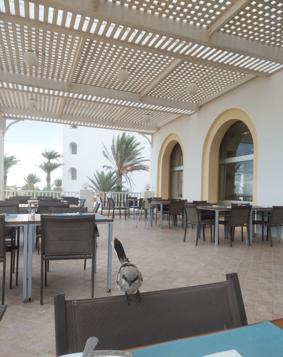 Gastro Calimera Yati Beach