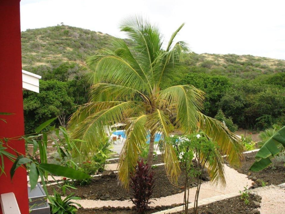 Ausblick von der außen Küche Don Genaro Apartments