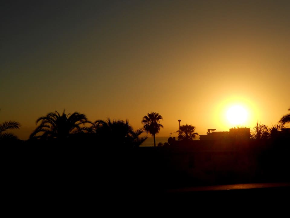 Ausblick vom Balkon Richtung Meer Ole Tropical Tenerife