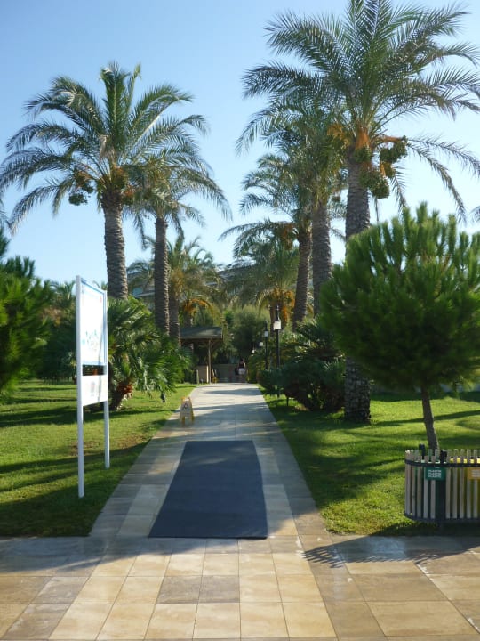 Der Weg zum Strand Sunis Kumköy Beach Resort Hotel & Spa