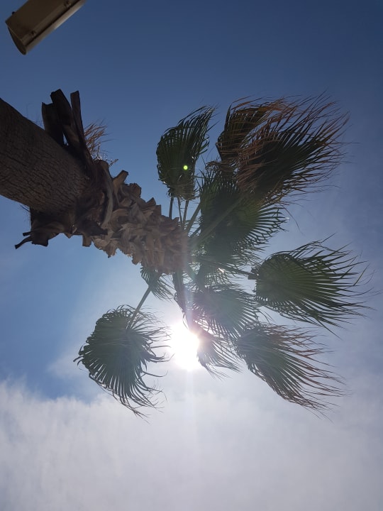 Gartenanlage Ulusoy Kemer Holiday Club