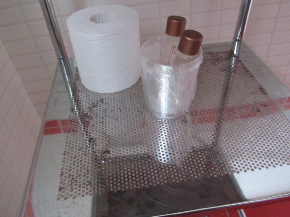 Regal neben der Dusche Hotel des Arts Montmatre