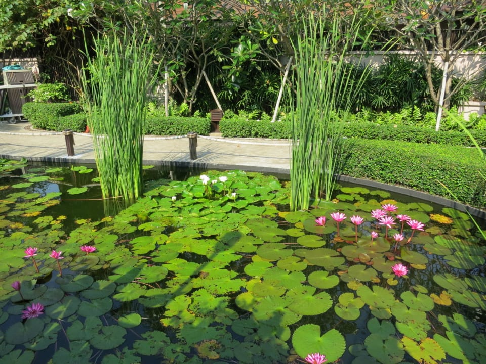 Superschön und gepflegt Bo Phut Resort & Spa