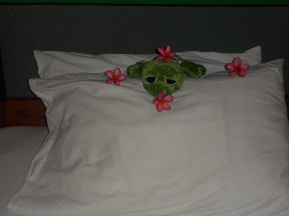 Immer fleißig die Roomboys !! Mermaid Hotel & Club