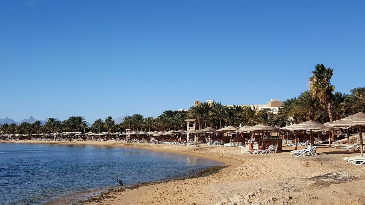Strand  Fort Arabesque Resort, Spa & Villas