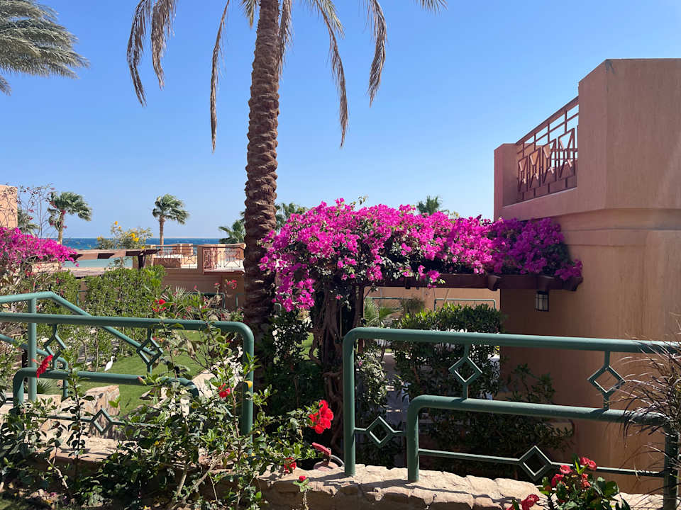 Ausblick Shams Prestige Abu Soma-Adults Only