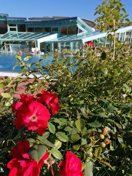 Pool Vivea Hotel Bad Vöslau