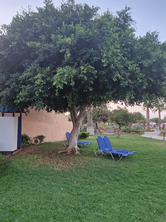 Gartenanlage Anissa Beach & Village