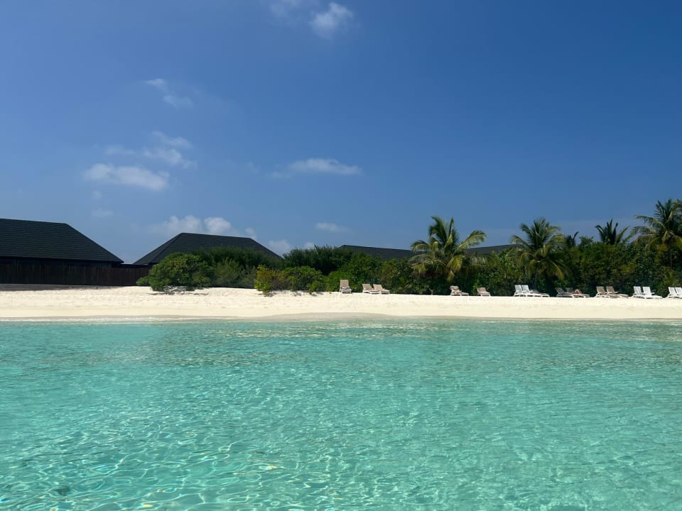 Strand Summer Island Maldives