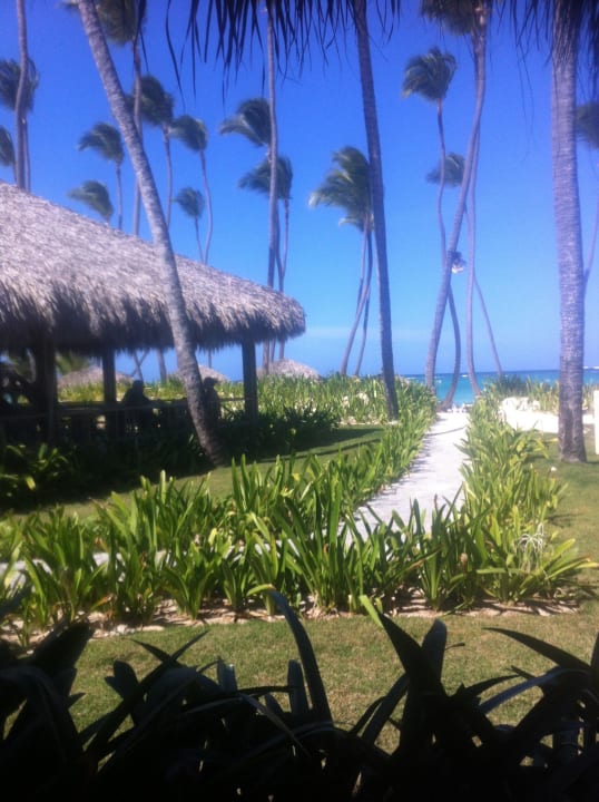 Ausblick im Aricive (Mittagessen) Grand Palladium Select Bávaro Resort & Spa