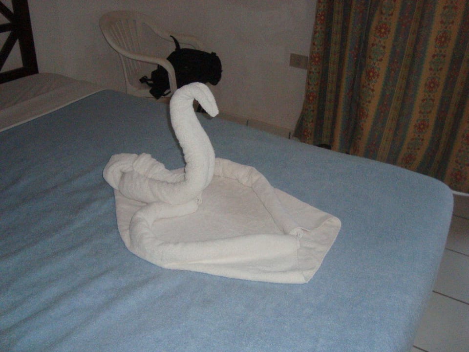 Schwan Utopia Beach Club