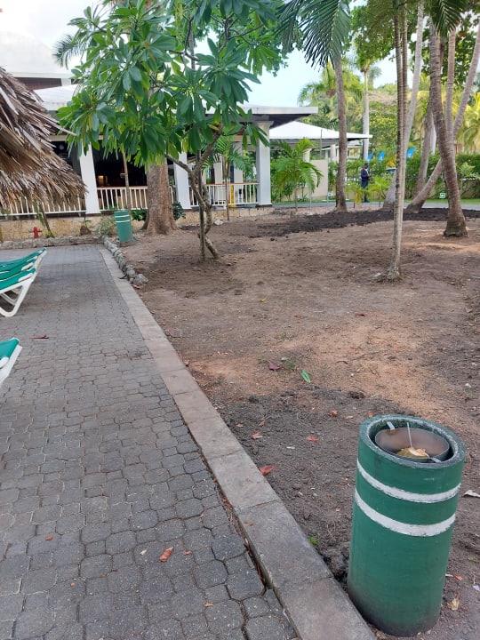 Gartenanlage Playabachata Hotel