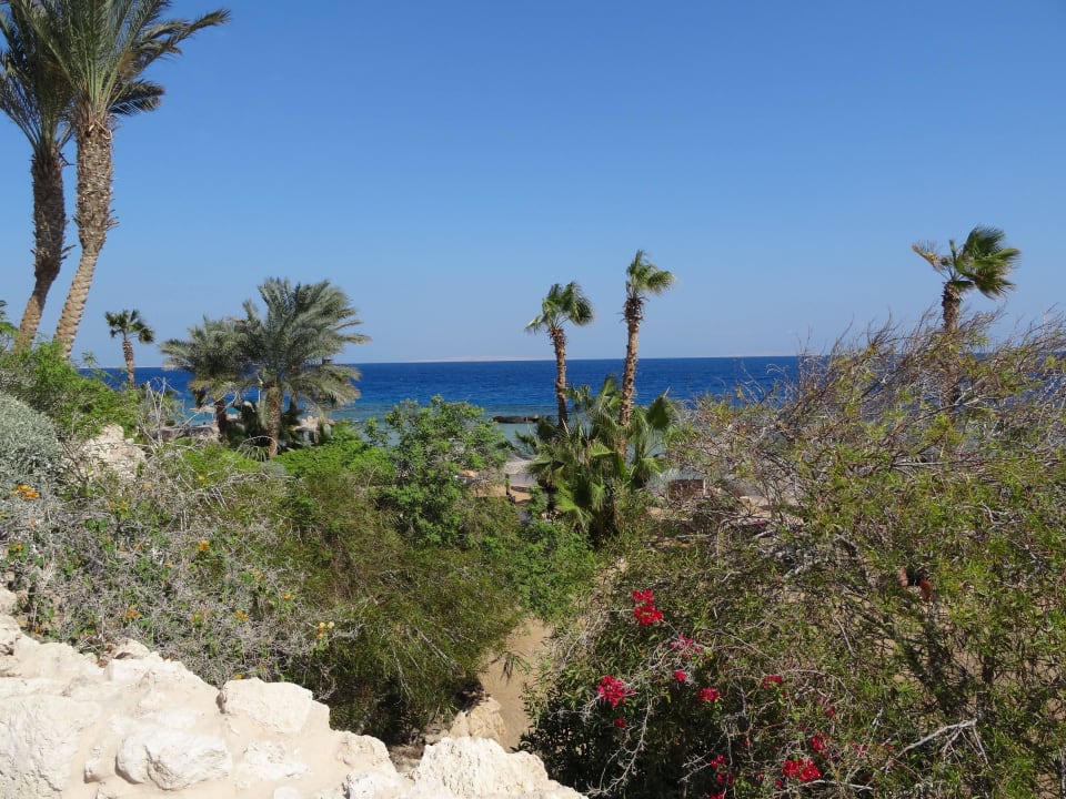 Gepflegt Pickalbatros Citadel Resort