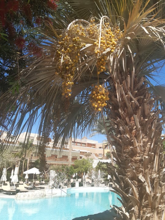 Pool Makadi Spa - Adults only