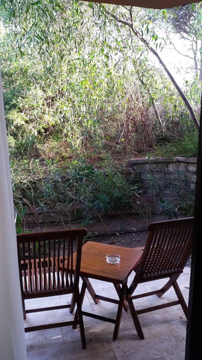 Wildwuchs auf der Terrasse  Asteria Family Belek