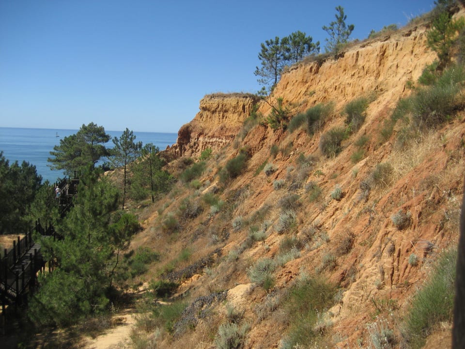 Der Weg zum Strand 3HB Guaraná - All Inclusive