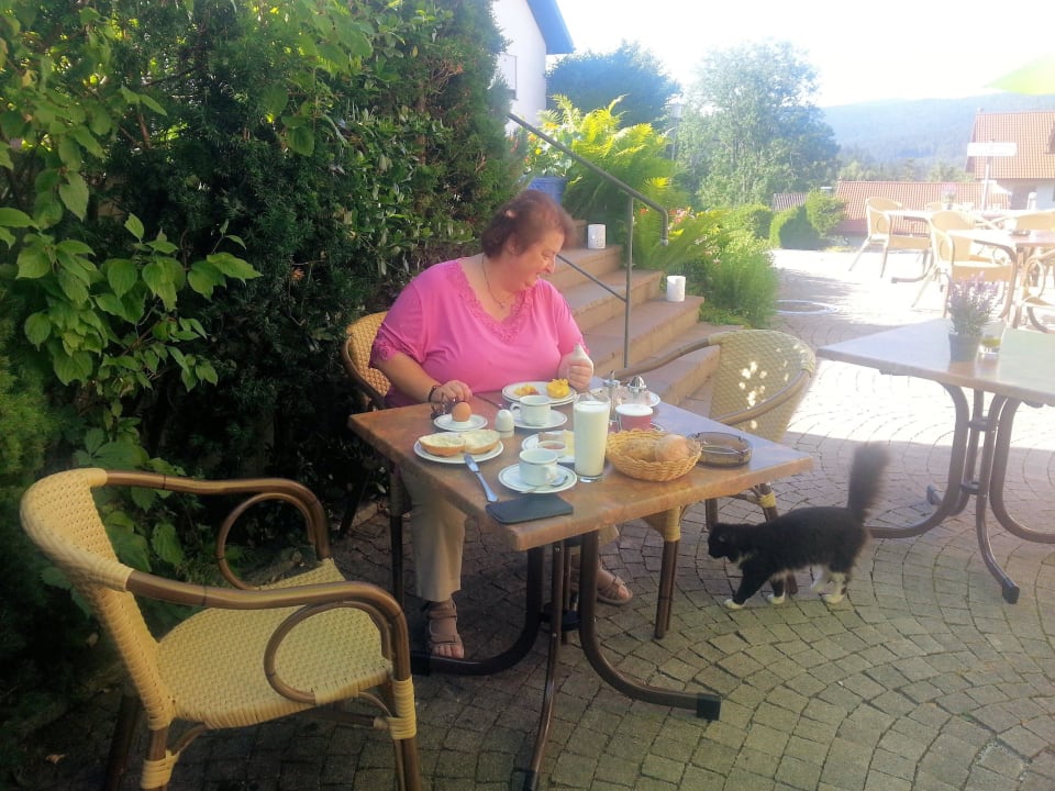 Sonnenterrasse Hotel Brunnenhof