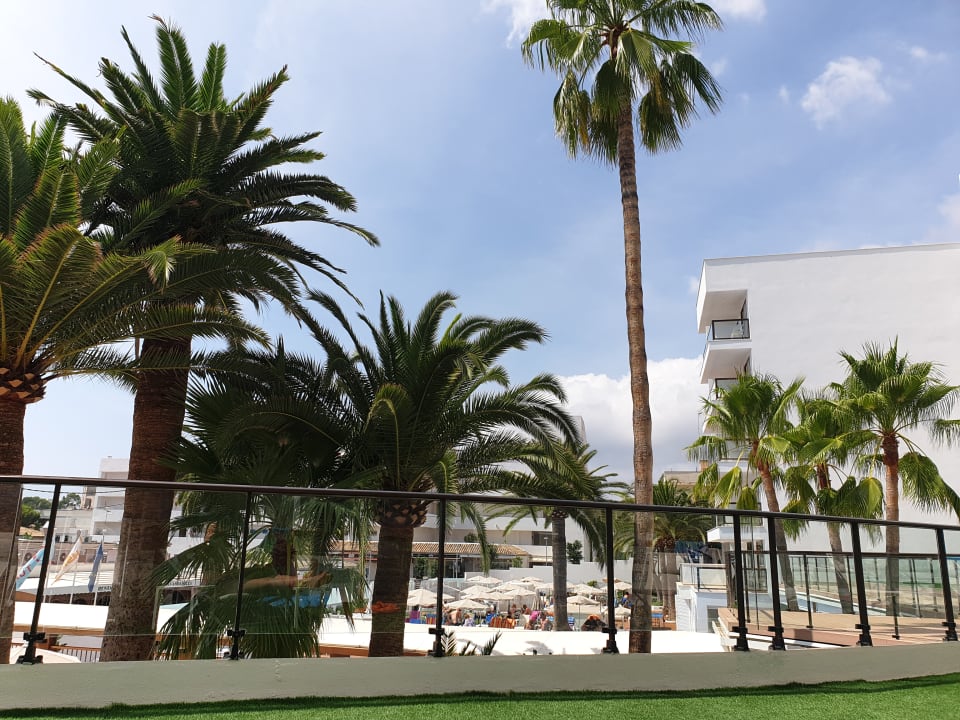 Gartenanlage HSM Linda Playa