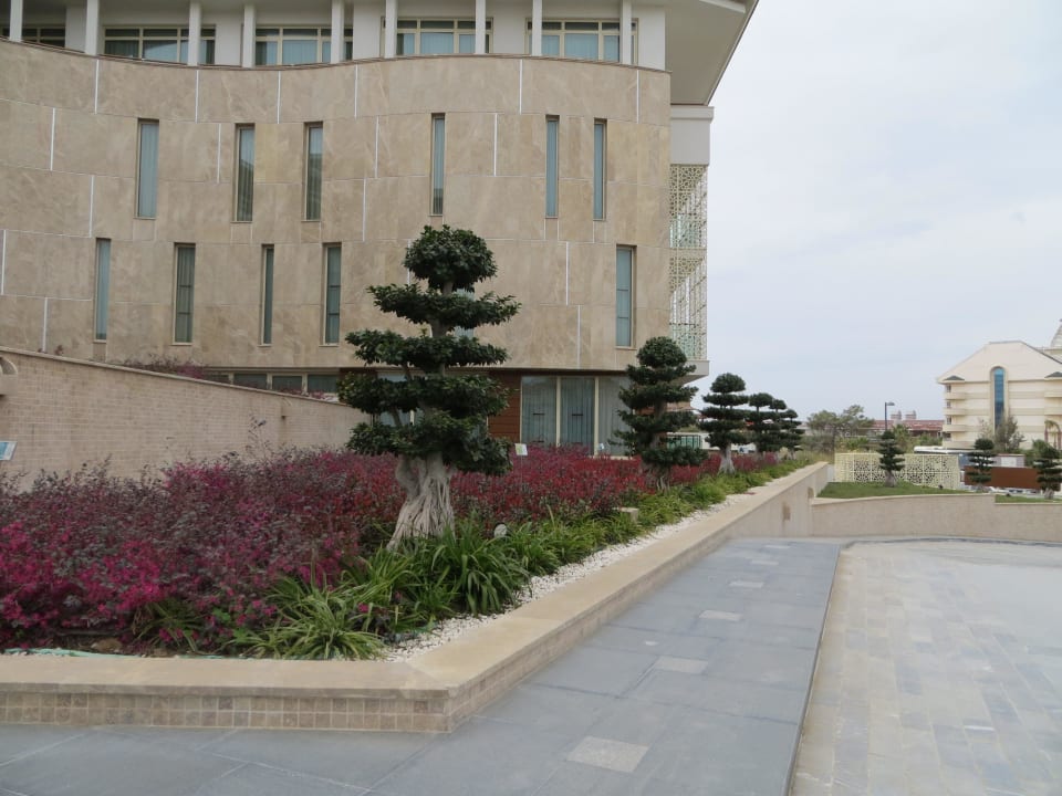 Bonsai Allee an der Landseite des Hotels Sentido Trendy Verbena Beach