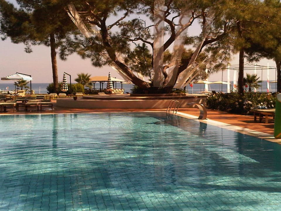 Pool ROBINSON ÇAMYUVA
