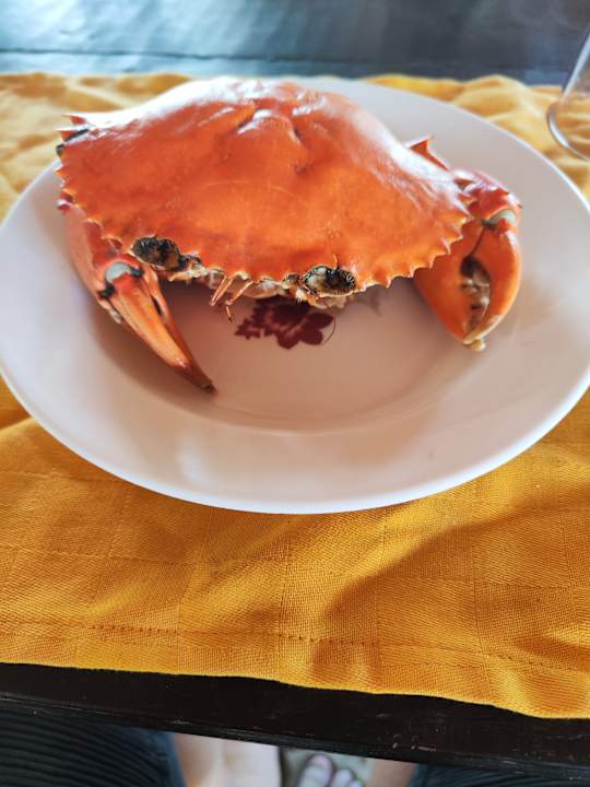 Gastro AHG Lion Beach Resort