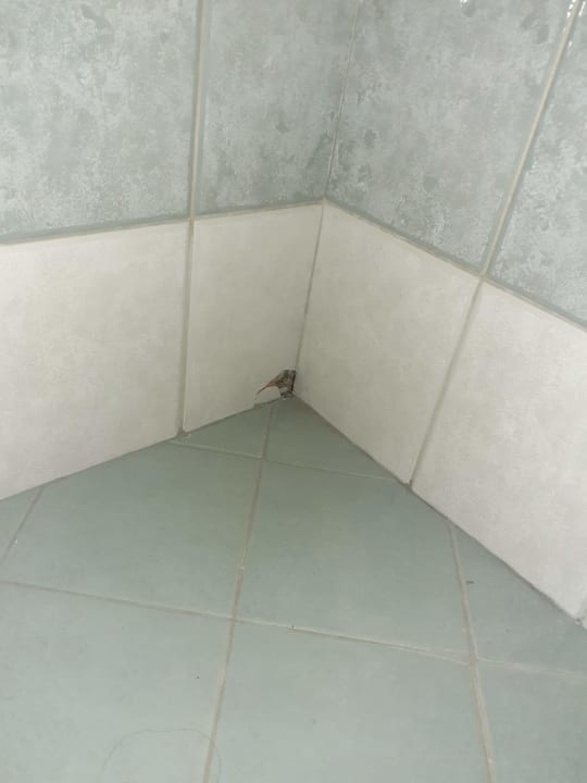 Zimmer Hotel Aurora Plava Laguna