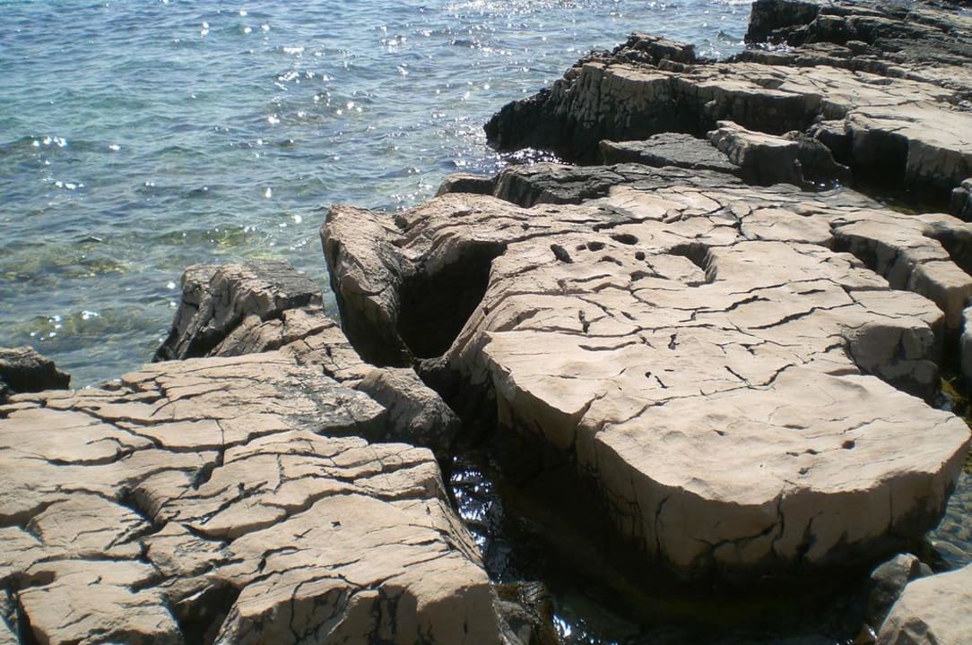 Steinplatten Pine Beach Pakostane