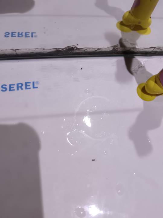 Zimmer Sun City Apartments