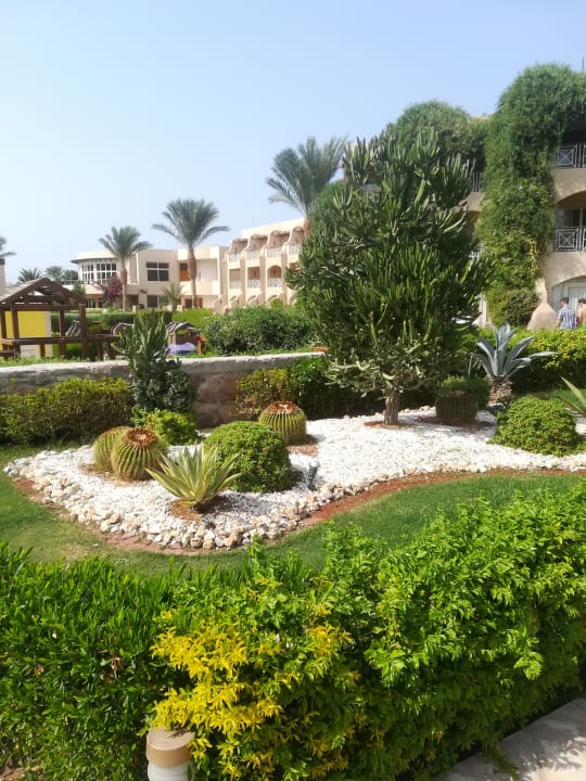 Außenansicht Prima Life Makadi Resort