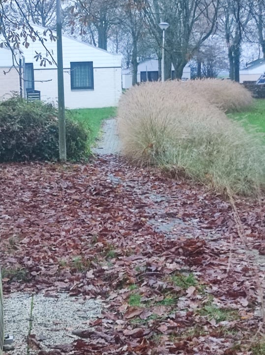 Außenansicht Bungalowpark Simpelveld - Castra 33