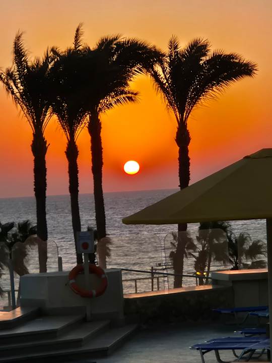 Zimmer Pickalbatros Citadel Resort